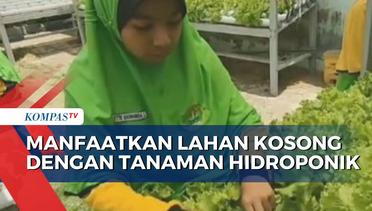Manfaatkan Lahan Kosong, Siswa di Surabaya Tanam Sayur Hidroponik