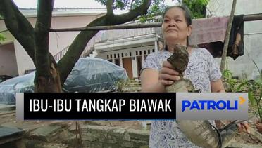 LUAR BIASA! Aksi Emak-emak di Tangerang Tangkap Seekor Biawak dengan Tangan Kosong! | Patroli