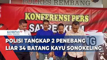 Polisi Tangkap 2 Penebang Liar 34 Batang Kayu Sonokeling