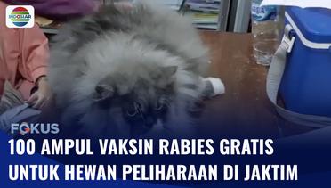 Vaksinasi Rabies Gratis untuk Ratusan Hewan Peliharaan di Jakarta Timur, Ini Syaratnya | Fokus