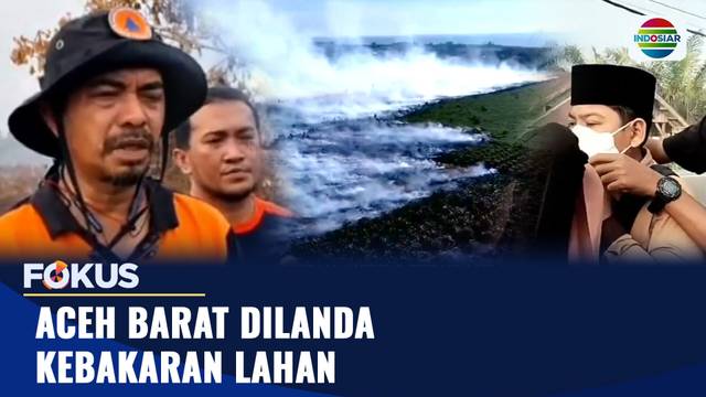 Kebakaran Lahan di Aceh Barat Meluas Hingga 18 Hektare | Fokus