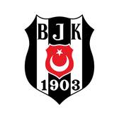 Besiktas Ayos