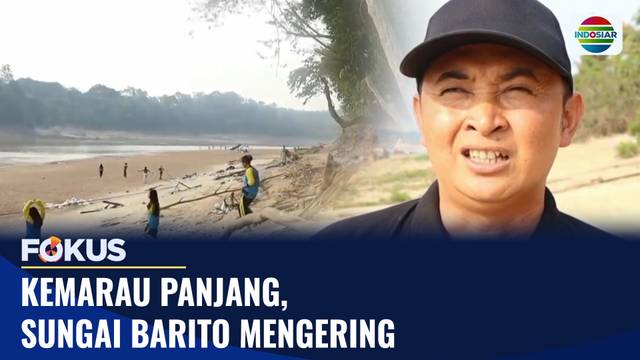 Kemarau Panjang, Sungai Barito Mengering | Fokus