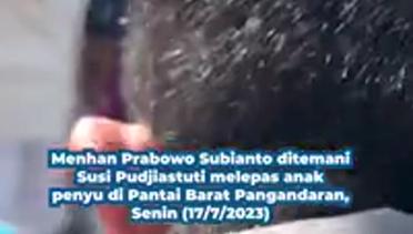 Momen Prabowo Lepaskan Anak Penyu di Pantai Barat Pangandaran