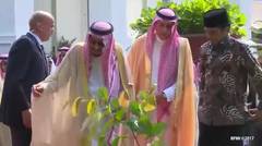 pak presiden jokowi menanam pohon bersama yang mulia raja arab saudi 😁