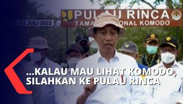 Pulau Komodo Difokuskan untuk Konservasi, Jokowi : Lihat Komodo Silahkan ke Pulau Rinca, Harga Tetap