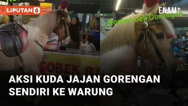 Kocak, Aksi Kuda Jajan Gorengan Ramai Dikomentari Netizen
