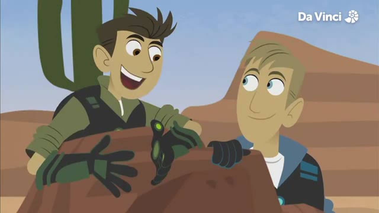 Wild Kratts Spots In The Desert Full Episode Wild Kratts - Ep 24 - The Desert Elves (2022) | Vidio