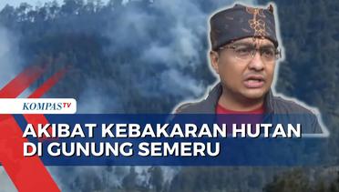 Akibat Kebakaran Hutan di Lerang Gunung Semeru, Jalur Pendakian Ditutup!