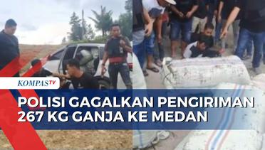Pengejaran Kurir Narkoba, 2 Pelaku Ditangkap saat Berupaya Kirim 267 Kg Ganja ke Medan