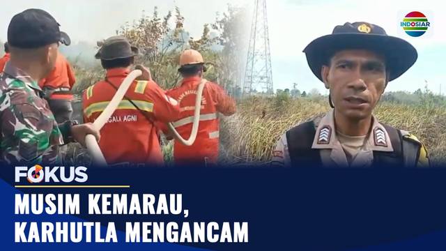 Musim Kemarau, Karhutla Mengancam | Fokus