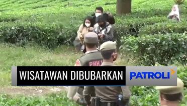 Kerumunan Wisatawan di Kawasan Kebun Teh, Bogor, Dibubarkan Satpol PP | Patroli