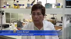 Ahli Biologi Chili Kembangkan Deterjen Anti-Nyamuk