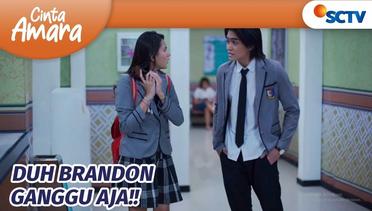 Duh Brandon Ganggu aja! | Cinta Amara Episode 129