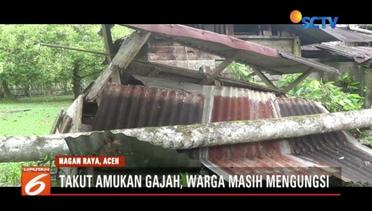 Lagi, Gajah Liar Rusak Rumah Warga di Aceh - Liputan 6 Pagi
