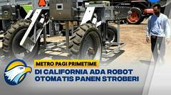 Robot Pertanian Mampu Analisis Tingkat Kematangan Stroberi - [Metro Pagi Primetime]