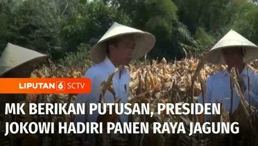 MK Berikan Putusan, Presiden Jokowi Hadiri Panen Raya Jagung di Gorontalo | Liputan 6