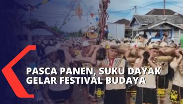 Sebagai Rasa Syukur Atas Limpahan Hasil Panen, Suku Dayak Gelar Festival