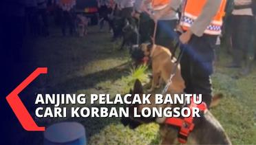 Area Pencarian Diperluas, 9 Anjing Pelacak Diterjunkan Bantu Cari Korban Longsor di Cianjur