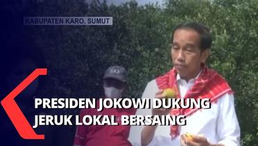 Dapat Jeruk Tiga Ton, Presiden Jokowi Sambangi Petani Jeruk di Karo