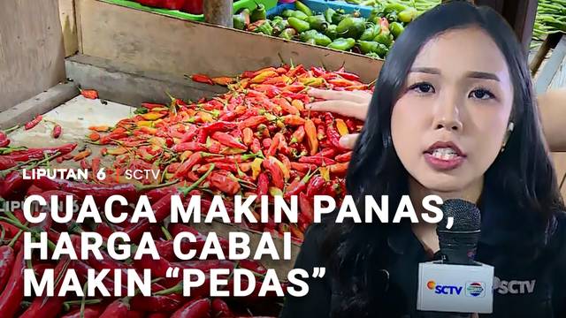 Cuaca Makin Panas, Harga Cabai Makin "Pedas" | Liputan 6