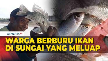 Aksi Warga Berburu Ikan Saat Sungai Meluap di Kabupaten Madiun