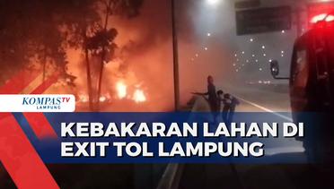 2 Hektar Lahan di Exit Tol Lematang Lampung Terbakar