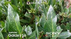 Adu Kamera Sony Xperia Z5 vs Samsung Galaxy S6