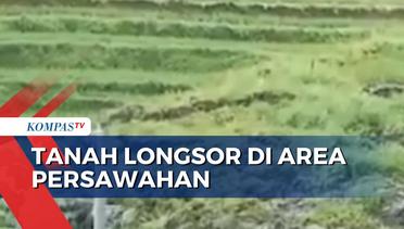 Viral Terekam Detik-detik Tanah Longsor di Area Persawahan Ponorogo