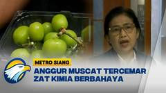 Anggur Muscat Tercemar Zat Kimia Berbahaya - [Metro Siang]