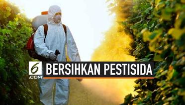 3 Cara Membersihkan Pestisida pada Sayur dan Buah 