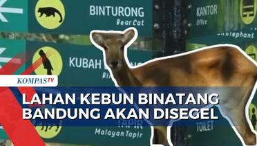 Kasus Sengketa Lahan, Kebun Binatang Bandung Terancam Disegel Pemkot!
