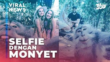 VIRAL! Begini Cara Foto Selfie dengan Monyet di Bali