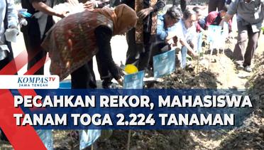 Pecahkan Rekor, Mahasiswa Tanam Toga 2.224 Tanaman