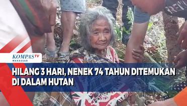 Hilang 3 Hari, Nenek 74 Tahun Ditemukan Di Dalam Hutan