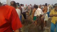 Panen ikan masal di banglades