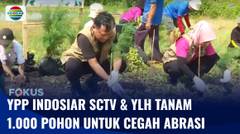 Cegah Abrasi, YPP Indosiar-SCTV dan YLH Tanam 1.000 Pohon di Pantai Karang Malang | Fokus