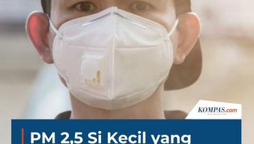 PM 2,5 Si Kecil yang Berbahaya Bagi Manusia