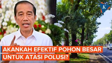 Jokowi Ajak Tanam Pohon Besar untuk Perangi Polusi Jakarta