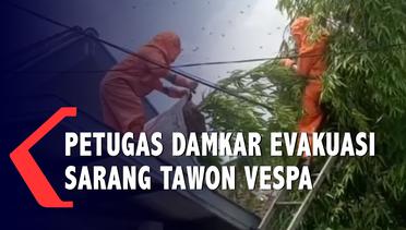 Petugas Damkar Evakuasi Sarang Tawon Vespa di Perumahan