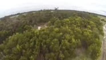 Burung Elang Menendang Jatuh Sebuah Drone