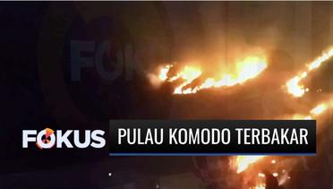 Sabana Laju Pemali di Pulau Komodo Terbakar, Penyebab Masih Misterius! | Fokus