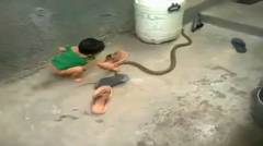 Video bocah super jagoan mainin ular