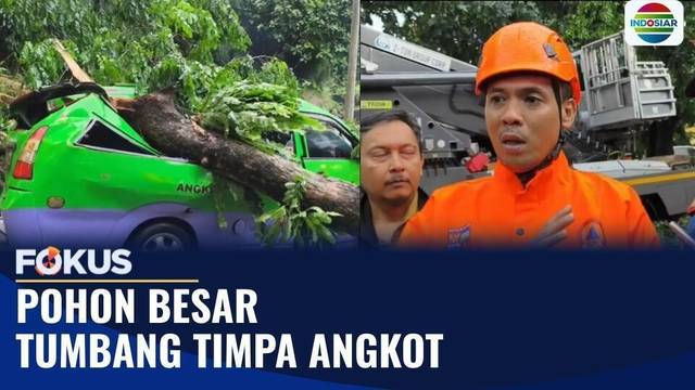 Pohon Tumbang Timpa Angkot di Bogor, BMKG Ingatkan Cuaca Ekstrem 3 Hari ke Depan | Fokus
