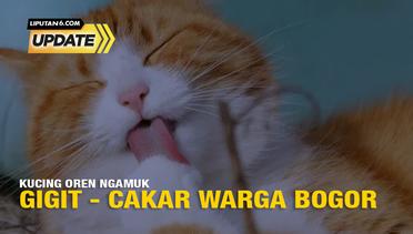 Liputan6 Update: Kucing Oren Ngamuk, Gigit - Cakar Warga Bogor