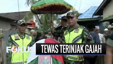 Anggota TNI Tewas Terinjak Gajah Liar