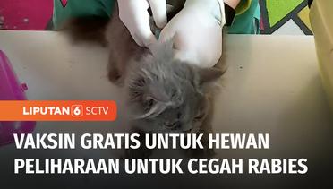 Pencegahan Rabies pada Hewan Peliharaan, Vaksin Gratis Diberikan untuk Warga Jakarta | Liputan 6
