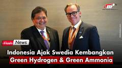 Indonesia Ajak Swedia Kembangkan Energi Hijau untuk Kurangi Emisi | Flash News