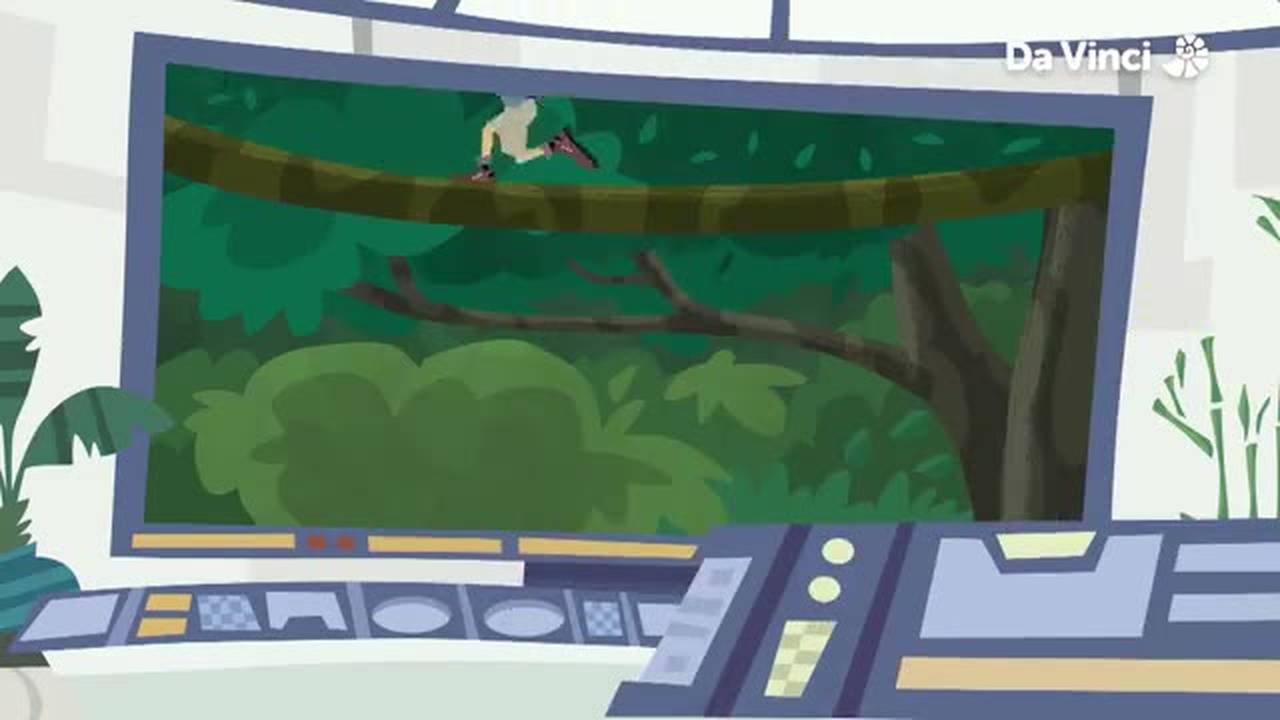 Wild Kratts Secrets Of The Spiders Web Wild Kratts - Ep 08 - Secrets of the Spider's Web (2022) | Vidio