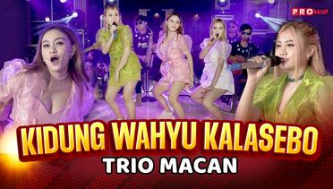 Trio Macan - Kidung Wahyu Kalasebo (Official Music Video)